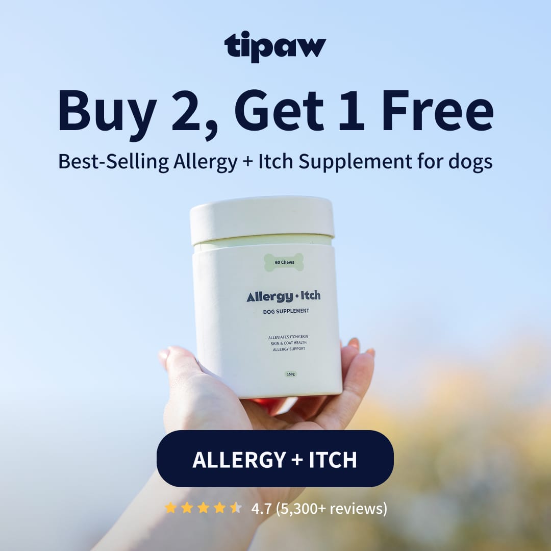 Tipaw by Tetta, image 1 of 18