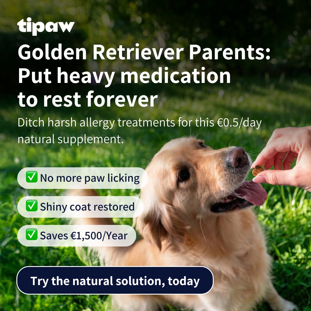 Tipaw by Tetta, image 3 of 18